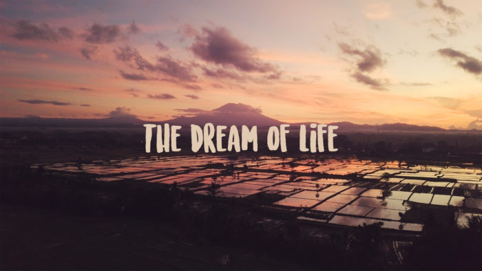 Alan Watts Dream of Life by Mate Valtr